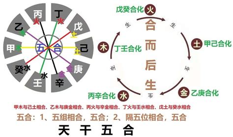 天干五合|八字中天干相合原理及意义